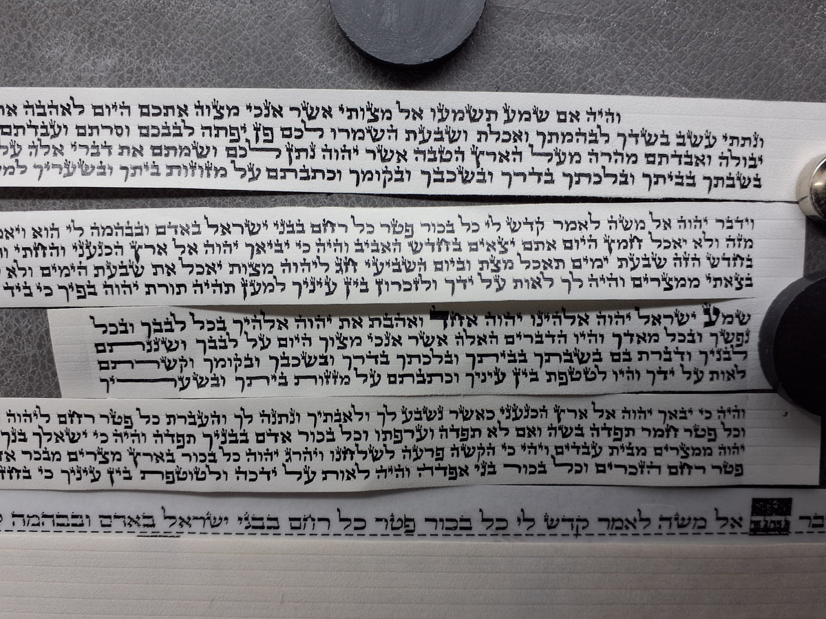 בתים בהמה גסה, פרודות ריבוע יד/ רגל, מכוונות, מקשה אחת