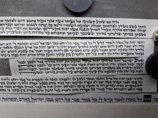 בתים בהמה גסה, פרודות לגמרי, ריבוע רגל / יד, מכוונות