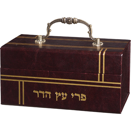 קופסא מהודרת לאתרוג דמוי עור עם ידית 13X19 ס"מ