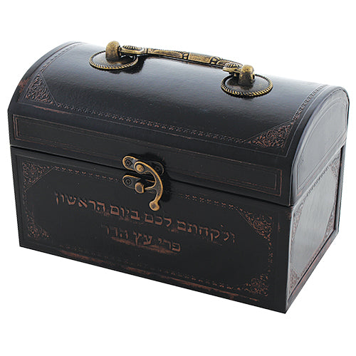 קופסא לאתרוג דמוי עור עם ידית מתכת 13X19X11 ס"מ